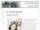 Guardino Gallery website