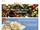 Rubio's Fresh Mexican Gri&hellip; website