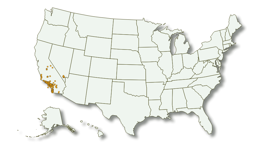 Local near. Кентукки Теннесси Арканзас Иллинойс на карте США карта. Ikea locations near me. Ikea locations by State. Ikea locations NYC.
