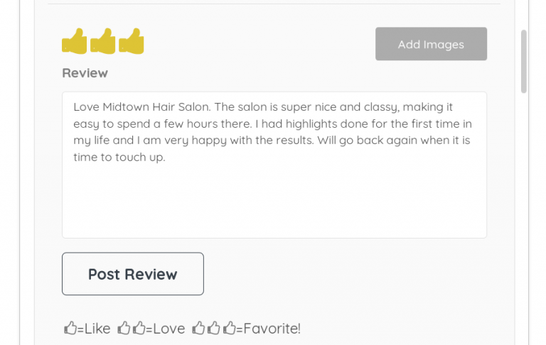 Salon Review iPad