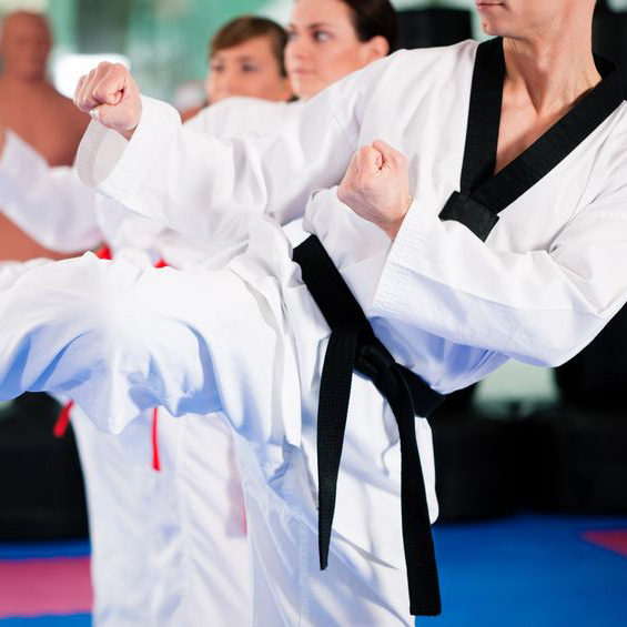 Troy Dorsey's Karate & Fitness – Kickboxing
